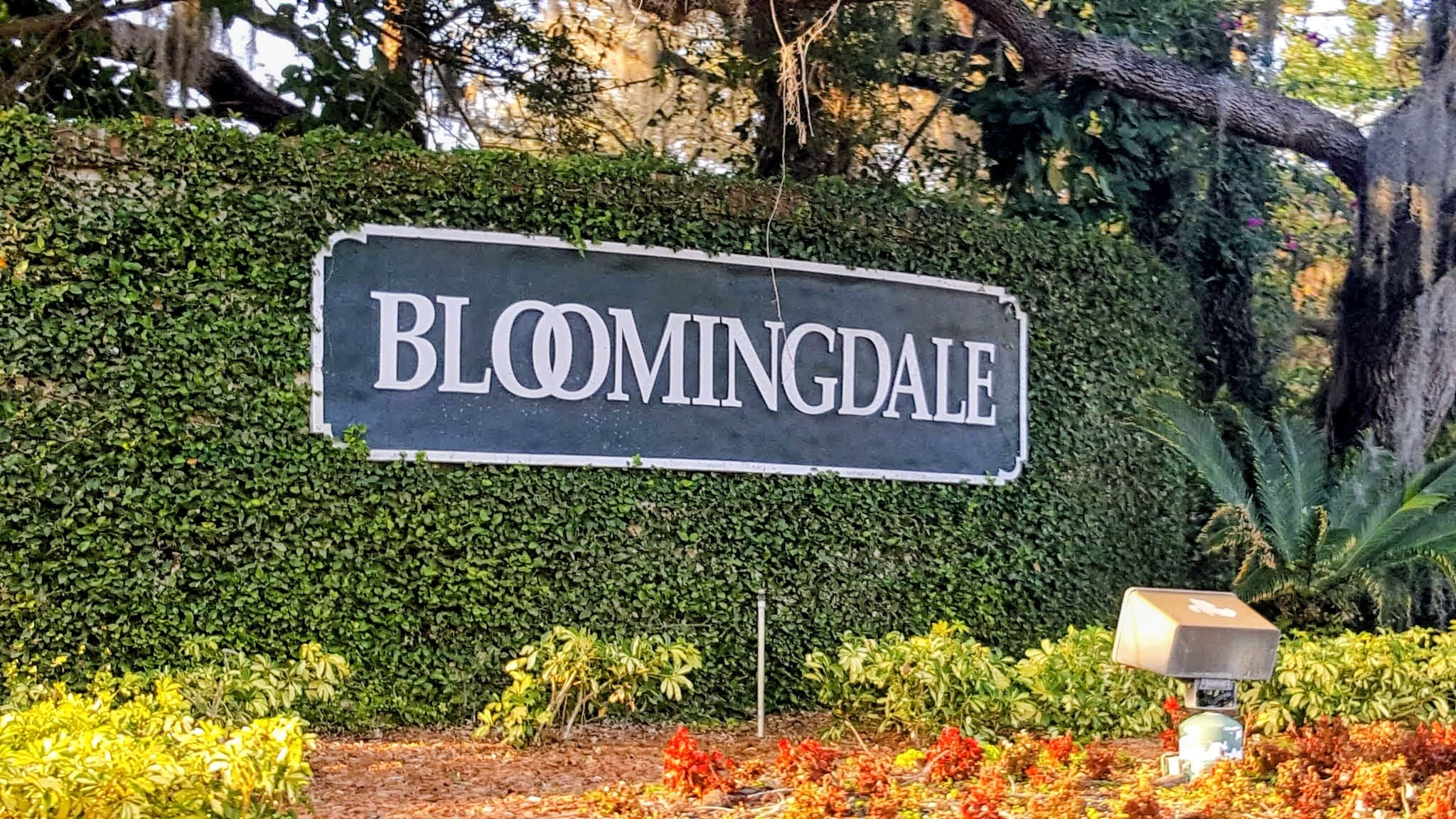 Bloomingdale, Valrico: Neighborhood Guide