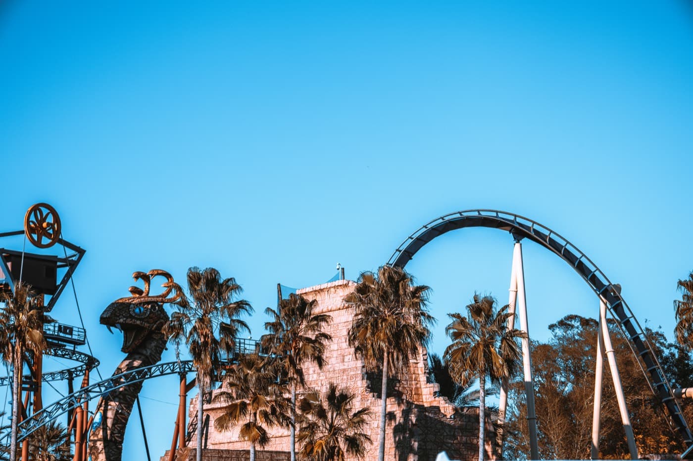 Summer 2026 in Valrico: Busch Gardens, Local Spots, and Everything Worth Doing