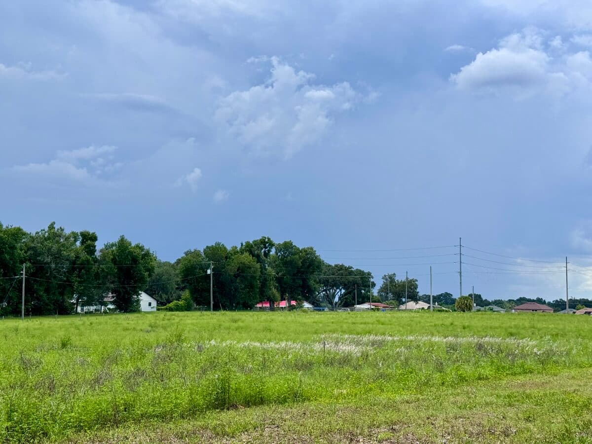 TECO Is Expanding the Power Line Corridor Behind Diamond Hill — Here's Everything We've Verified