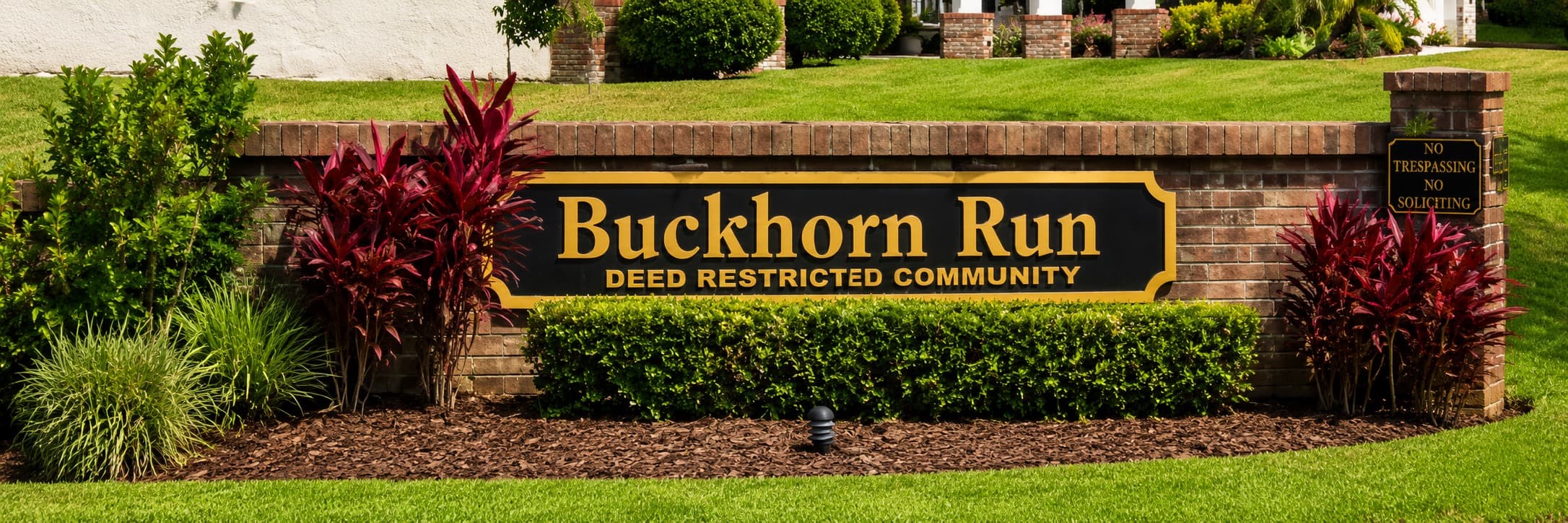 Buckhorn Run, Valrico: Neighborhood Guide