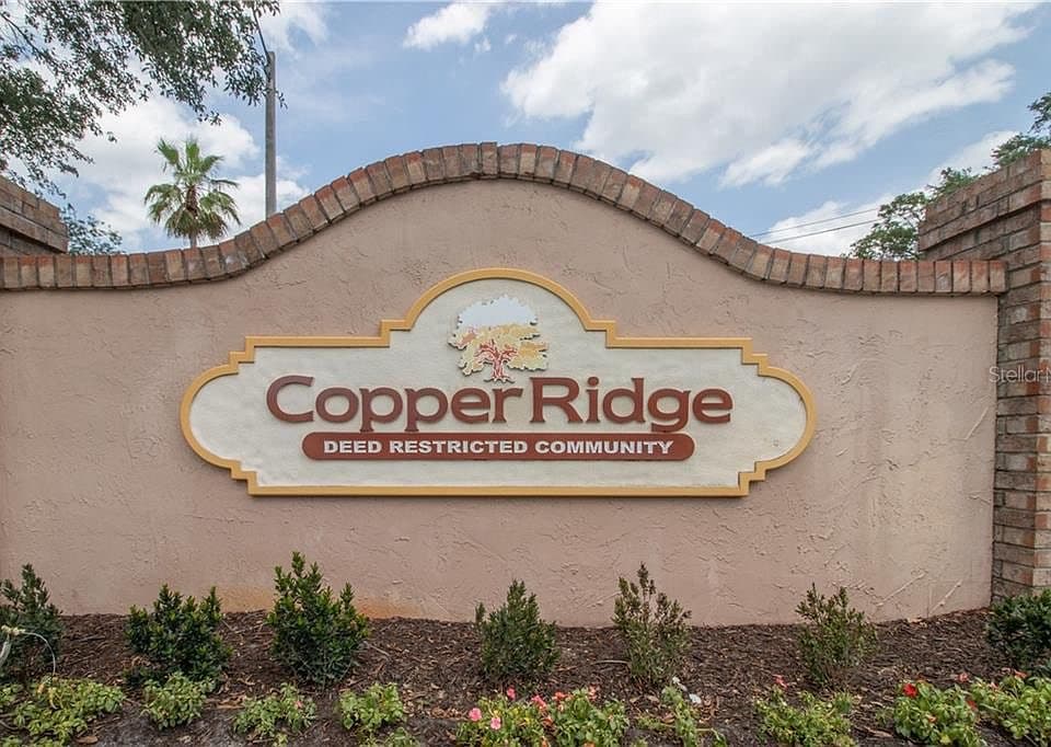 Copper Ridge, Valrico: Neighborhood Guide