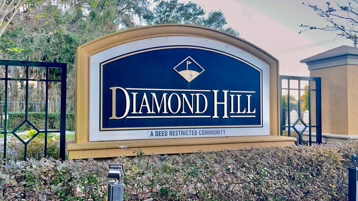 Diamond Hill, Valrico: Neighborhood Guide