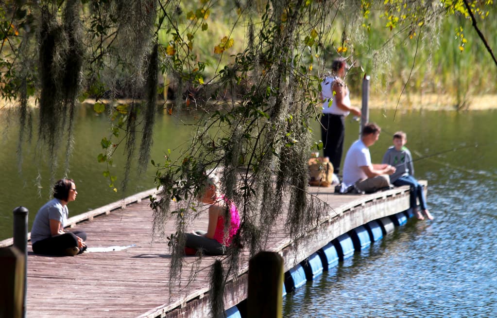 Edward Medard Park: The Complete Guide for Valrico Families