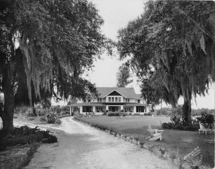 Historic Valrico Florida home with citrus grove and Spanish moss 1924