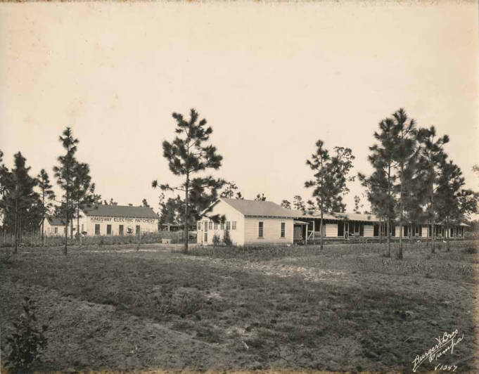 Kingsway Electric Hatchery chicken farm in Valrico Florida 1926