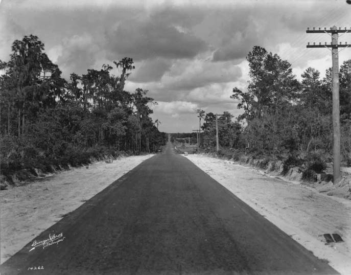 Newly paved Valrico Road through citrus country in 1925, Hillsborough County Florida