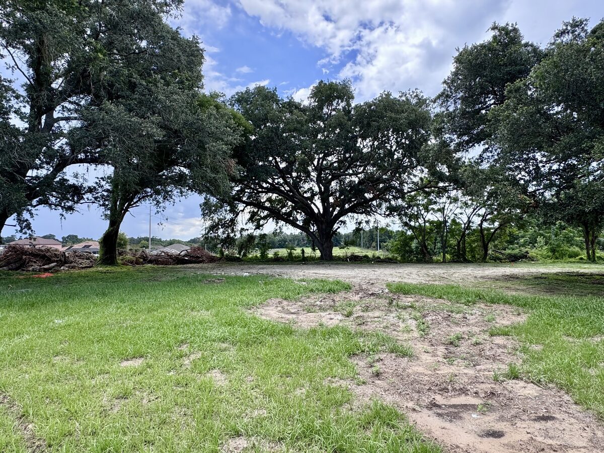 TECO transmission line construction area with mature oak trees in Valrico, FL