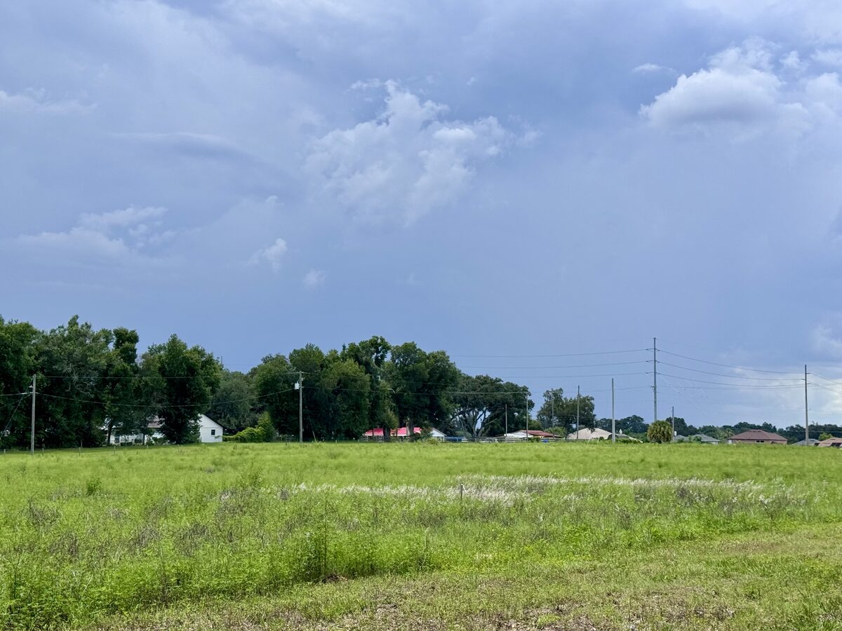TECO highline transmission corridor through rural Valrico, Florida — power poles and open field